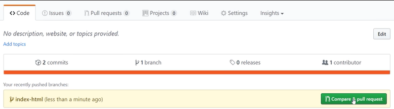 Compare and Pull Request Button